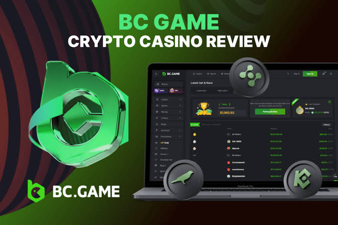 BC.Game Poland Login Process A Comprehensive Guide -418659494