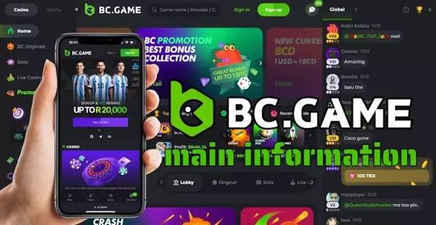 Understanding the BC.Game Login Process A Comprehensive Guide -279041651